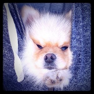 Variety of beauty and household items